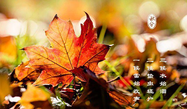 秋分時節吃什么食物養生_秋分吃啥養生_秋分節氣吃什么養生