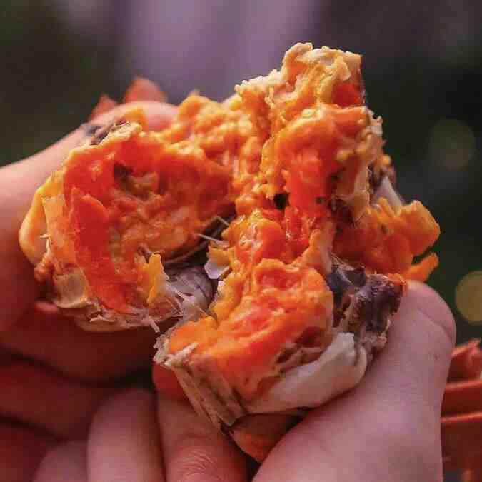 秋分吃啥養生_秋分節氣吃什么養生_秋分時節吃什么食物養生