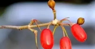 吉祥如意養(yǎng)生舞教學(xué)_吉祥如意健身養(yǎng)生舞背向_吉祥如意健身養(yǎng)生