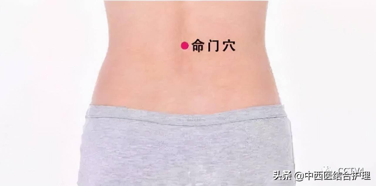 常用養(yǎng)生穴位_常用養(yǎng)生穴位_常用養(yǎng)生穴位