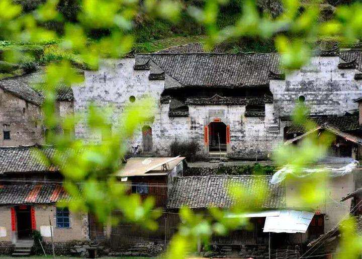 拂塵養(yǎng)生 文史記憶︱無“疫”，此心安處是武義