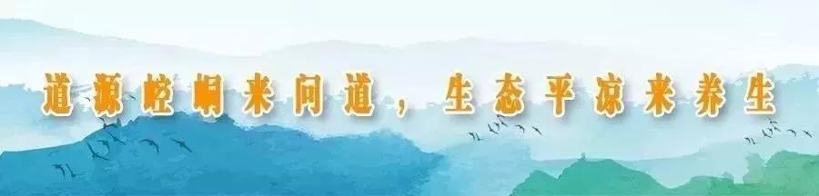 問道崆峒，學習流傳已久的養(yǎng)生功法